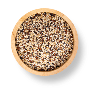 Quinoa MycoFoods